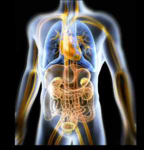 Age Gracefully with our Specialized Programs