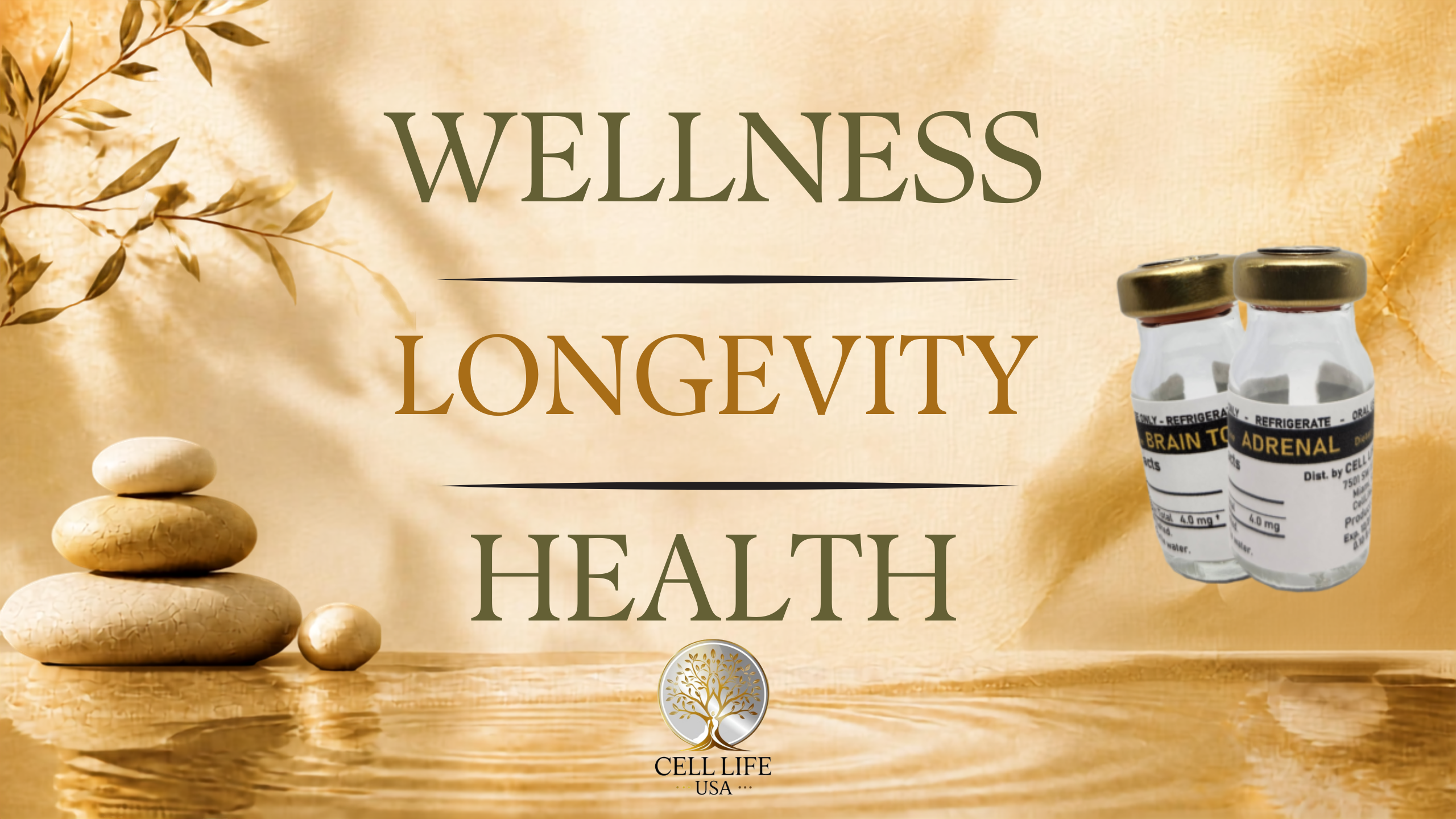 Wellness Longevity Cellular Health